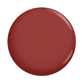 Executive Precision Liquid Blush