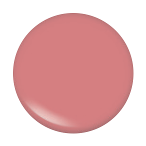 Lipgloss 106 Pinky Blak Packaging