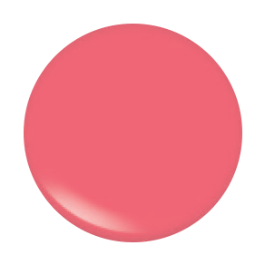 Lipgloss Blak Packaging