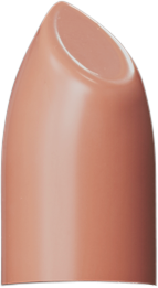 Lipstick 309 Shrimp Smooth & Creamy