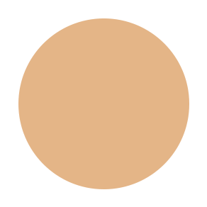 BB Cream – Skin Care + Makeup All In One
