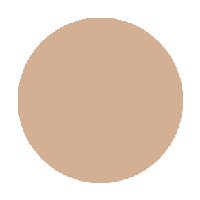 BB Cream – Skin Care + Makeup All In One