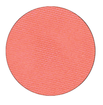 Eyeshadow 544 Quirty (Blak Packaging)