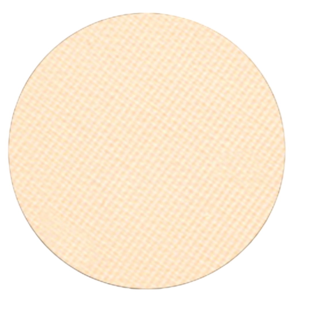 Eyeshadow 261 Pebbles (Blak Packaging)