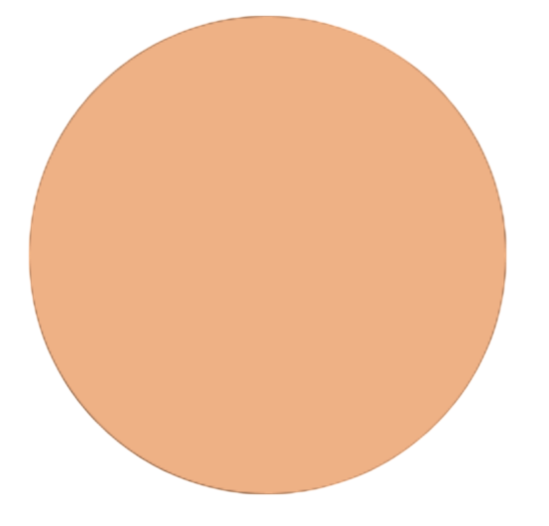 Neutral Liquid Concealer – N75 Cool Neutral (Blak Packaging)