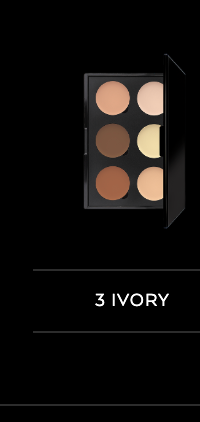 6 Well Cream Contour Palette