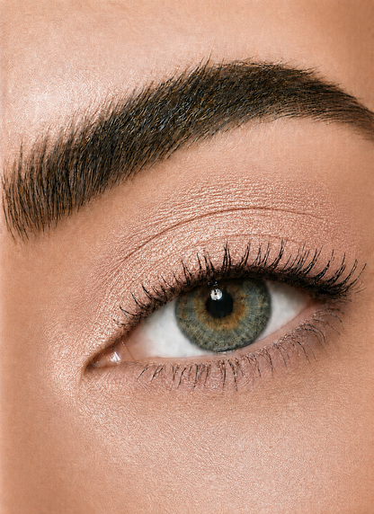 Eyeshadow 623 Biscuit (Blak Packaging)