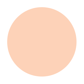 Cashmere Soft Matte Foundation